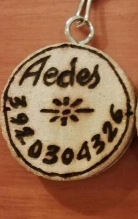 Gruppo Aedes Alghero, Residenza Michelangelo - 500 Mt Dalla Spiaggia ภายนอก รูปภาพ